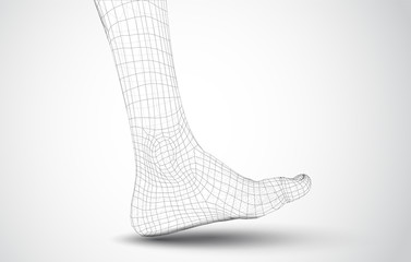 3d illustration of a vector of human feet walking along