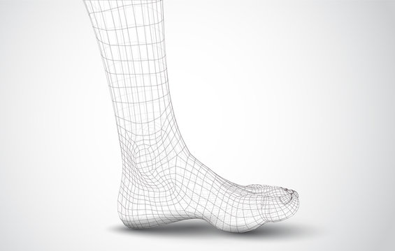 3d illustration of a vector of human feet walking along
