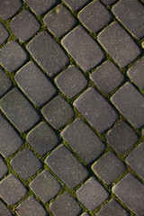 texture of pavers and stone.