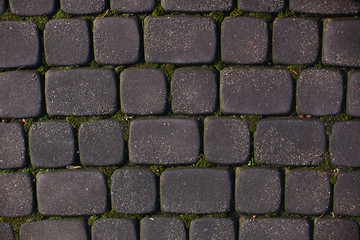 texture of pavers and stone.