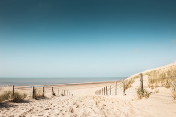 Sandy dunes on the coast of North sea