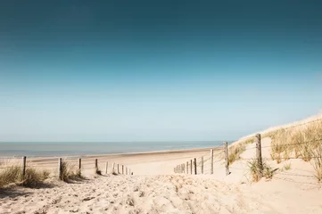 Photo sur Aluminium Mer du Nord, Pays-Bas Sandy dunes on the coast of North sea