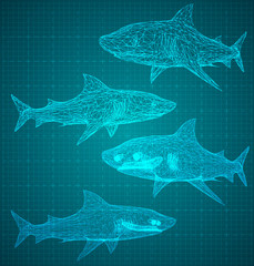 Obraz premium vector 3d shark from a triangular grid.