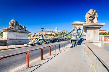 Fototapeta premium Budapest, Hungary - Chain Bridge