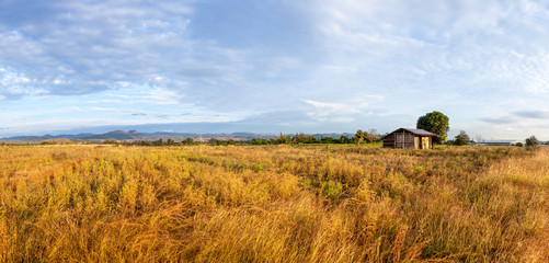 landscape Thailand whit a small house