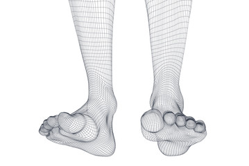 Illustration of a vector of human feet walking