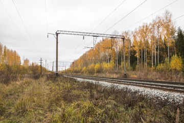 Railway road and trees in yellow colors