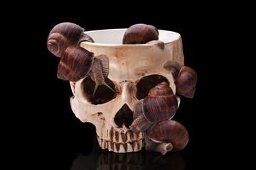 A large bowl of human skull filled with snails.