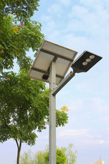 Solar street light in the park
