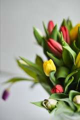 Floral background: bouquet of multicolored tulips in a glass vase on a light background, blank, mocap for mother's day greetings, international women's day