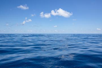 Fototapeta premium Deep blue sea