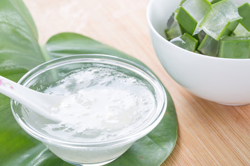 Extract of aloe vera plant. Fresh aloe vera leaves with aloe vera juice