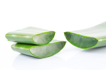 Aloe Vera leaves on white background