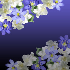 Fototapeta na wymiar Beautiful floral background of jasmine and liverworts 