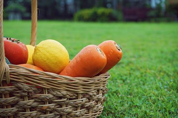 Basket of mixed fresh organic vegetable