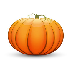 A large festive pumpkin.