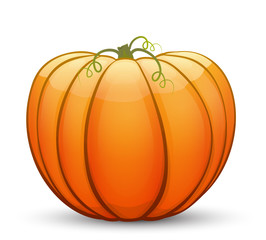 A large festive pumpkin.