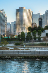 横浜みなとみらいの高層ビル群１