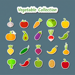 Cute design patches vegetable icon set. Vector illustration with sticker symbol of onion, eggplant, cabbage, pepper and other vegetables in fresh colors for kid healthy diet nutrition banner.