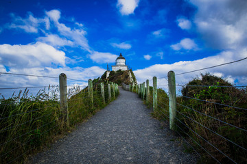 Trail to Nugget Point lighthouse in Otago, New Zealand