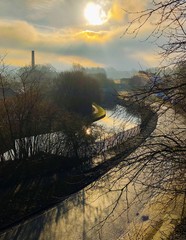 Winter Canal