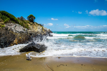 Fototapeta na wymiar Small hidden beach at Stirling point in Bluff, New Zealand