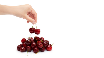 Female hands hold a red cherries. Isolated on white background. copy space, template.