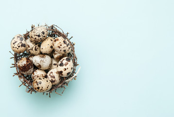 Obraz premium Quail eggs on light blue background.