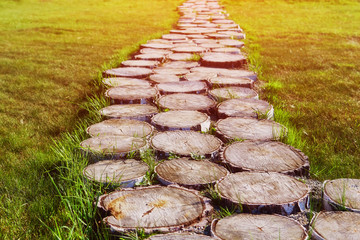 Path in the parkl from round saw cuts of a tree
