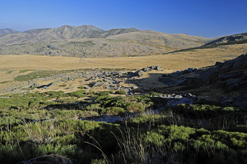 Bergsteppe in der Sierra de Gredos / Spanien 