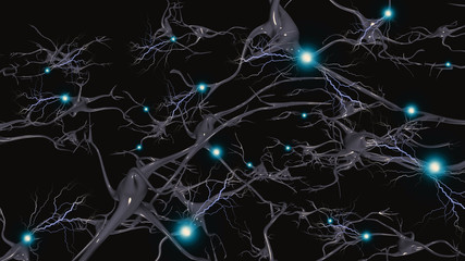 Neurons