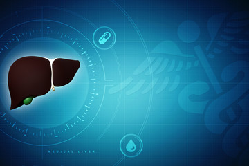 Realistic human liver 3d illustration
