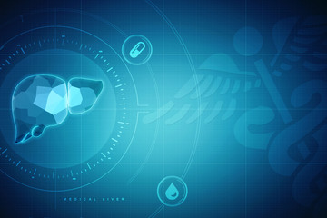 Realistic human liver 2d illustration
