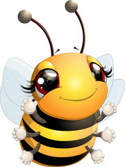 Beautiful cute bee