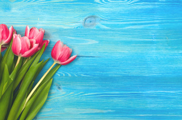 Fototapeta na wymiar Tulip flowers on blue wooden table board background with copy space. Woman day concept. Mother day background. Saint Valentines day greeting card mock up. Top view.