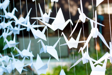 Origami cranes outdoors