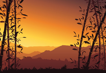 Naklejka premium Nature background with bamboo. Colorful sunset wallpaper - vector illustration 
