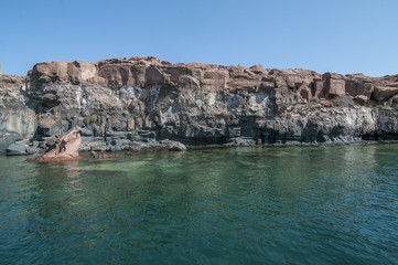 Isla espiritu santo sea of cortes, la paz baja california sur. MEXICO