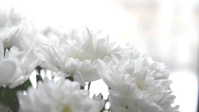 A bouquet of chrysanthemums in a vase is on the window