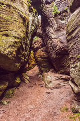 Ścieżka pomiędzy skałami. Pieszy szlak turystyczny w skalnym labiryncie w Czechach. - obrazy, fototapety, plakaty