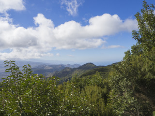 Fototapeta na wymiar view point in anaga mountain sharp peaks with green cypress bush and blue sky white clouds background, tenerife canary island spain