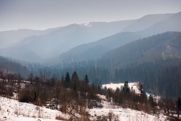  Winter landscape of the mountain forest