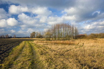 Fototapeta na wymiar Plowed field, country road, meadow and copse