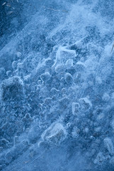 sticking out of the ice