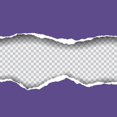 Realistic vector violet ripped paper with space for your text, on transparent background