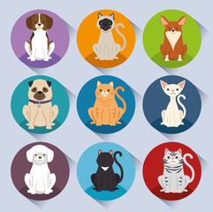 dogs and cats pets characters