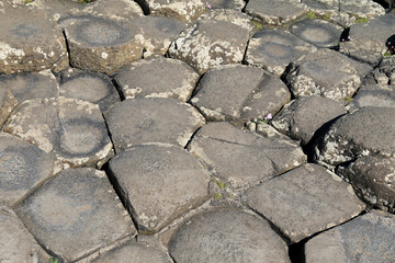 naturalne formacje skalne niczym kamienne schody w grobli olbrzyma w irlandii