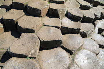 naturalne formacje skalne niczym kamienne schody w grobli olbrzyma w irlandii © KOLA  STUDIO