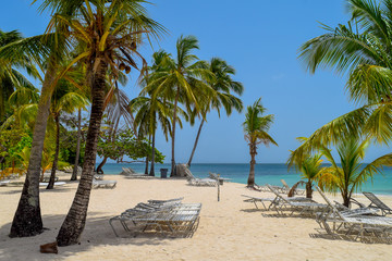 White beach with sunbeds, many palms, blue sky and turquoise ocean in the caribbean sea, Dominican Republic