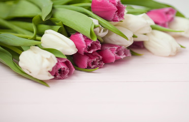 Spring tulips flower on wooden background. Tulip, gardening concept.